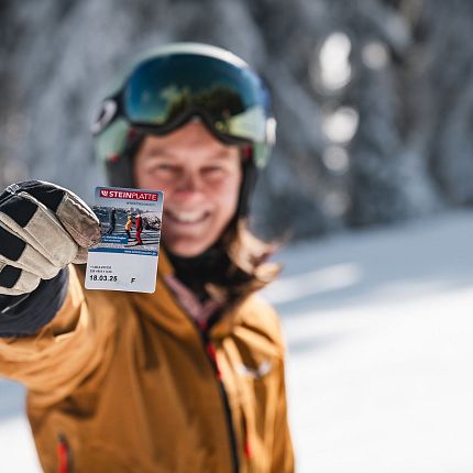 Steinplatte Skifahrerin Ticket Schnee