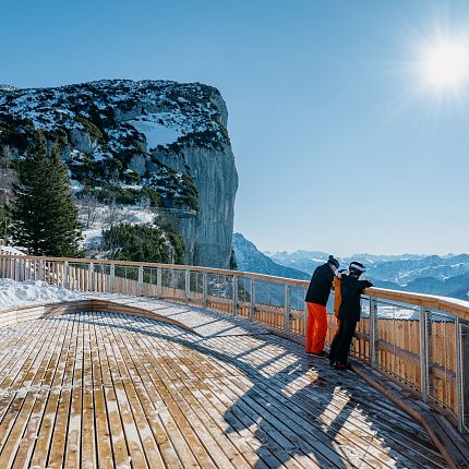 Panoramamuschel Steinplatte Winklmoosalm