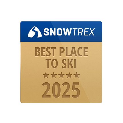 SnowTrexAward Logo Steinplatte