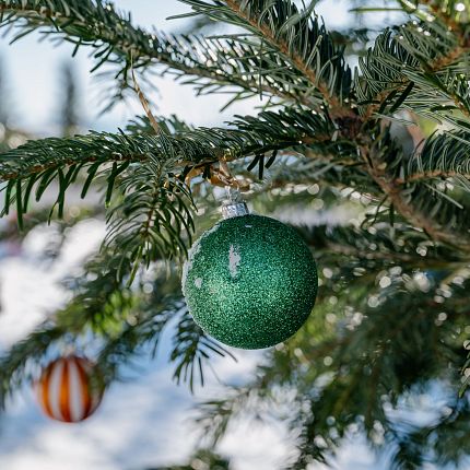 TriassicPark Steinplatte Waidring Kinderbetreuung