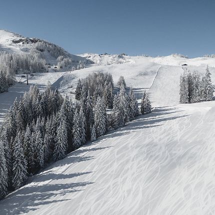 Schnee bedeckte Berge und Bäume unter blauem Himmel.