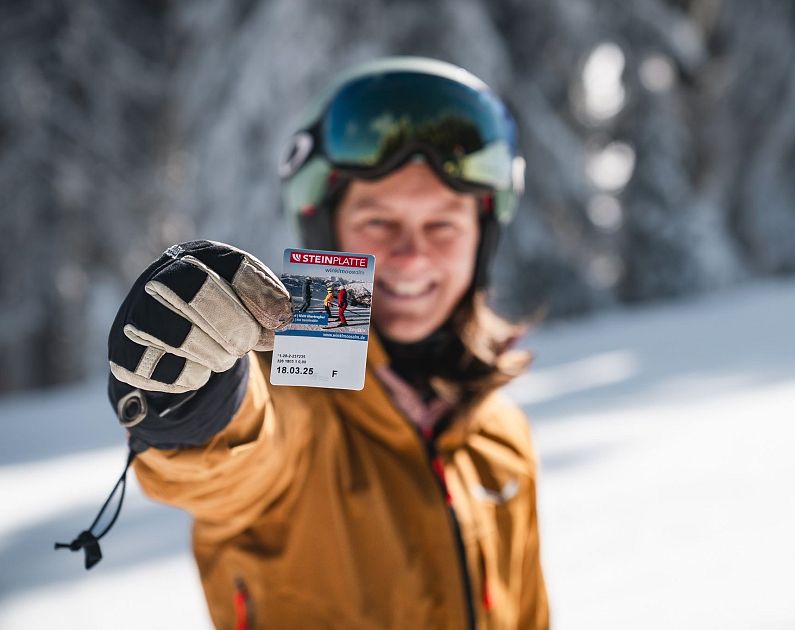 Steinplatte Skifahrerin Ticket Schnee