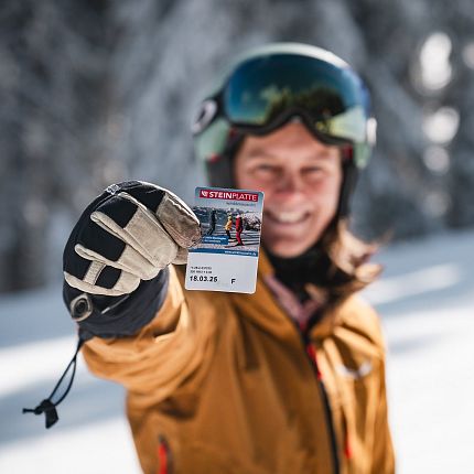 Steinplatte Skifahrerin Ticket Schnee