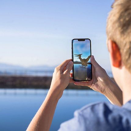 Person taking photo with smartphone showing augmented reality dragon.