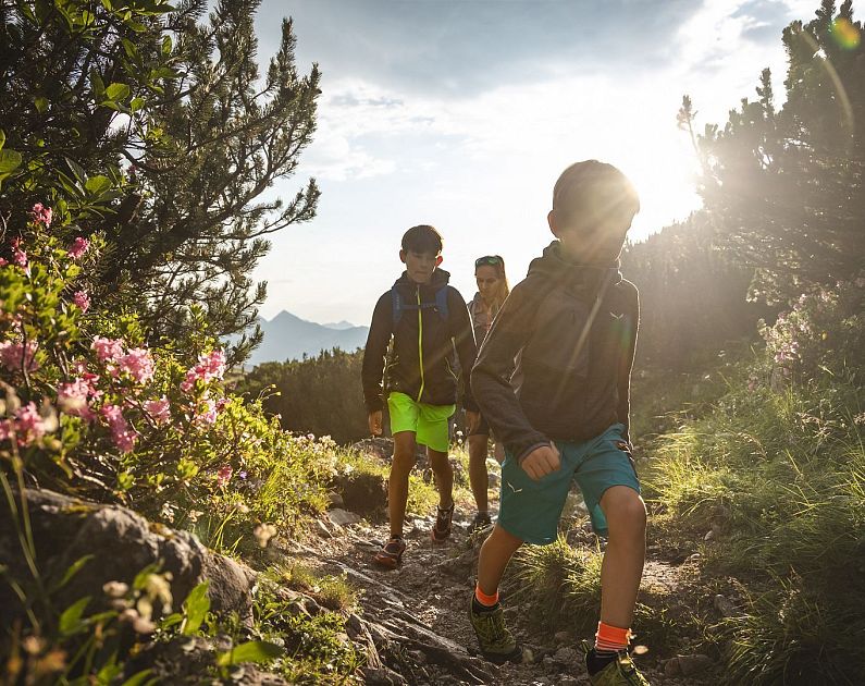 Drei Kinder wandern auf einem sonnenbeschienenen Pfad in den Bergen, umgeben von Pflanzen und Bäumen.
