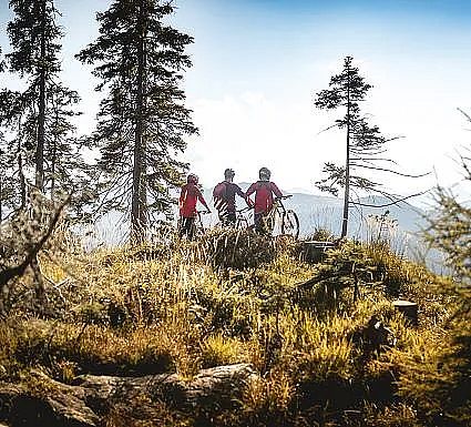 Three cyclists standing with their bikes on a grassy hilltop, surrounded by trees under a clear sky, capturing an outdoor adventure.