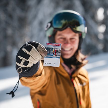 Steinplatte Skifahrerin Ticket Schnee